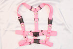 Harness Eva-02.5