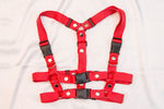 Harness Eva-02.5