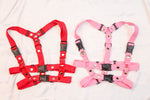 Harness Eva-02.5